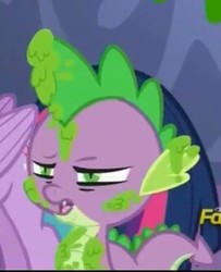 Size: 271x334 | Tagged: safe, screencap, spike, dragon, a flurry of emotions, g4, cropped, disgusted, male, messy, offscreen character, reaction image, solo