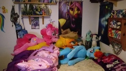 Size: 3264x1840 | Tagged: safe, applejack, bon bon, derpy hooves, fluttershy, lyra heartstrings, pinkie pie, rainbow dash, sweetie drops, bat pony, pony, timber pony, timber wolf, g4, blanket, book, collection, flutterbat, irl, merchandise, never too much pony, photo, plushie, poster, race swap, species swap, timber wolfified, timberjack, wall scroll