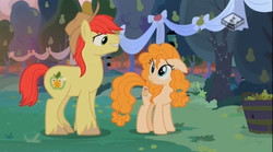 Size: 829x462 | Tagged: safe, screencap, bright mac, pear butter, earth pony, pony, g4, the perfect pear, eye contact, female, floppy ears, frown, grin, hat, looking at each other, male, mare, ship:brightbutter, shipping, smiling, stallion, straight