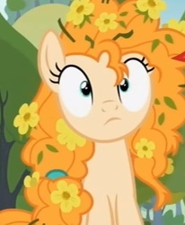 Size: 371x451 | Tagged: safe, screencap, pear butter, pony, g4, the perfect pear, cropped, cross-eyed, cute, female, flower, flower in hair, mare, pearabetes, solo, surprised, wide eyes