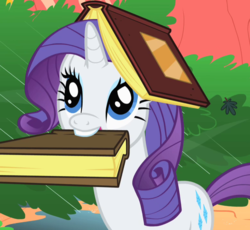 Size: 779x718 | Tagged: safe, screencap, rarity, pony, unicorn, g4, look before you sleep, book, book hat, cropped, cute, female, golden oaks library, mare, mouth hold, rarara, raribetes, silly, silly pony, solo