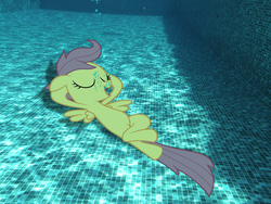 Size: 3968x2976 | Tagged: safe, artist:sb1991, scootaloo, pony, g4, chillaxing, eyes closed, high res, irl, on back, photo, ponies in real life, relaxing, request, requested art, solo, swimming pool, underwater