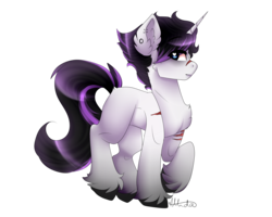 Size: 2000x1600 | Tagged: safe, artist:skimea, oc, oc only, pony, unicorn, male, scar, simple background, solo, stallion, transparent background