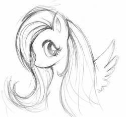 Size: 600x558 | Tagged: safe, artist:ariannacarnes, fluttershy, pegasus, pony, g4, bust, female, looking away, looking sideways, mare, monochrome, no mouth, portrait, sketch, solo, spread wings, traditional art, wings