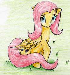 Size: 996x1080 | Tagged: safe, artist:40kponyguy, derpibooru exclusive, fluttershy, pegasus, pony, g4, ear fluff, female, floppy ears, raised hoof, solo, traditional art