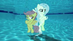 Size: 852x480 | Tagged: safe, artist:sb1991, fluttershy, scootaloo, pony, g4, back to back, pose, request, requested art, story included, swimming pool, underwater