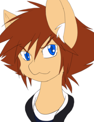 Size: 2852x3693 | Tagged: safe, artist:steelsoul, pony, fanfic:kingdom hearts of harmony, bust, crossover, disney, ear fluff, high res, kingdom hearts, kingdom hearts of harmony, looking at you, ponified, simple background, solo, sora, transparent background