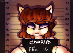 Size: 1828x1332 | Tagged: artist needed, safe, oc, oc only, oc:charlie, earth pony, pony, arrested, blue eyes, curly hair, female, jail, mare, mugshot, solo, unshorn fetlocks