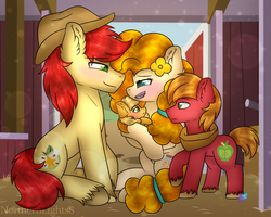 Size: 1024x819 | Tagged: safe, artist:northlights8, applejack, big macintosh, bright mac, pear butter, earth pony, pony, g4, the perfect pear, blushing, colored pupils, colt, ear fluff, family, female, foal, male, mare, raised hoof, ship:brightbutter, shipping, stallion, straight, unshorn fetlocks