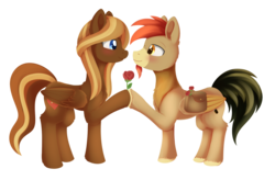 Size: 1024x672 | Tagged: safe, artist:dusthiel, oc, oc only, oc:caramel breeze, oc:sentinel, pegasus, pony, commission, duo, female, flower, looking at each other, male, mare, oc x oc, rose, saddle bag, shipping, simple background, smiling, stallion, transparent background