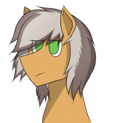 Size: 516x556 | Tagged: safe, artist:nguyendeliriam, oc, oc only, oc:deliriam, pony, angry