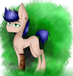 Size: 2300x2394 | Tagged: safe, artist:eclispeluna, oc, oc only, earth pony, pony, high res, male, solo, stallion