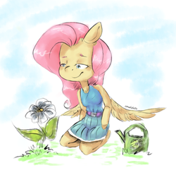 Size: 1512x1500 | Tagged: safe, artist:cloudyhills, fluttershy, pegasus, anthro, unguligrade anthro, g4, arm hooves, clothes, dress, female, flower, grass, kneeling, lidded eyes, looking at something, looking down, mare, solo, spread wings, watering can, wings