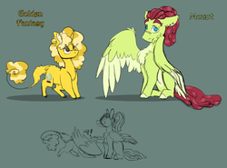 Size: 1600x1186 | Tagged: safe, artist:torusthescribe, oc, oc only, oc:golden fantasy, oc:mozart, pegasus, pony, unicorn, magical lesbian spawn, offspring, parent:fluttershy, parent:pinkie pie, parent:pokey pierce, parent:tree hugger, parents:flutterhugger, parents:pokeypie, reference sheet