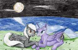 Size: 3176x2028 | Tagged: safe, artist:40kponyguy, derpibooru exclusive, princess luna, oc, alicorn, pegasus, pony, g4, canon x oc, high res, holding hooves, looking at each other, moon, ocean, requested art, traditional art