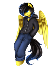 Size: 2186x3009 | Tagged: safe, artist:pridark, oc, oc only, pegasus, pony, clothes, commission, hair over one eye, high res, hoodie, male, pants, simple background, solo, transparent background