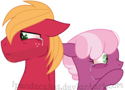 Size: 869x625 | Tagged: safe, artist:ipandacakes, big macintosh, cheerilee, earth pony, pony, g4, crying, female, male, ship:cheerimac, shipping, simple background, straight, transparent background