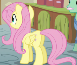Size: 443x376 | Tagged: safe, screencap, fluttershy, pony, flutter brutter, g4, butt, cropped, female, mare, plot, solo focus