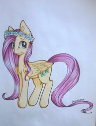 Size: 1024x1337 | Tagged: safe, artist:dexterisse, fluttershy, pony, g4, female, floral head wreath, flower, folded wings, looking at you, solo, standing, traditional art