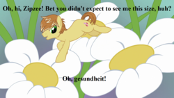 Size: 1280x720 | Tagged: safe, edit, edited screencap, editor:korora, screencap, feather bangs, earth pony, pony, g3, g4, hard to say anything, battle for sugar belle, flower, g3 to g4, generation leap, implied shrinking, implied zipzee, male, stallion, text