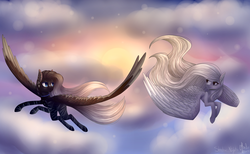 Size: 3630x2230 | Tagged: safe, artist:shadow-nights, oc, oc only, pegasus, pony, chest fluff, cloud, duo, ear fluff, female, flying, high res, looking at each other, mare, sky, sunset, wing fluff