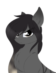 Size: 1913x2494 | Tagged: safe, artist:php146, oc, oc only, oc:pineapple, earth pony, pony, chest fluff, female, mare, simple background, solo, transparent background