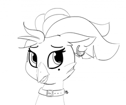 Size: 1280x1069 | Tagged: safe, artist:pabbley, captain celaeno, anthro, g4, my little pony: the movie, bust, collar, female, monochrome, portrait, simple background, solo, white background