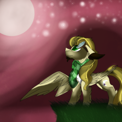 Size: 2560x2560 | Tagged: safe, artist:brokensilence, oc, oc only, oc:noctis, pegasus, pony, blood moon, clothes, facial hair, full moon, goggles, high res, moon, night, scarf, solo, stars