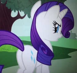 Size: 1002x942 | Tagged: safe, screencap, rarity, pony, unicorn, g4, honest apple, butt, cropped, female, looking back, mare, plot, rear view, solo
