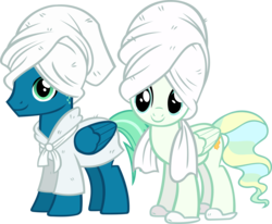 Size: 5506x4528 | Tagged: safe, artist:ironm17, sky stinger, vapor trail, pegasus, pony, g4, absurd resolution, bathrobe, clothes, duo, female, male, mare, show accurate, simple background, slippers, smiling, stallion, towel, transparent background, vector