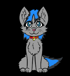 Size: 1555x1684 | Tagged: safe, artist:vulpineprincess, oc, oc only, oc:frost fang, cat, pony, unicorn, animated, black background, blinking, catified, collar, cute, fluffy, gif, pet tag, simple background, sitting, solo, species swap, tail wag