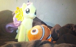 Size: 1024x638 | Tagged: safe, artist:user15432, fluttershy, fish, pegasus, pony, g4, crossover, disney, disney pixar, finding dory, finding nemo, irl, nemo, photo, plushie, toy, toyshy, watermark