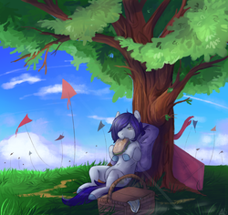 Size: 1433x1355 | Tagged: safe, artist:1an1, oc, oc only, pony, basket, cloud, food, grass, kite, picnic, picnic basket, sandwich, signature, sitting, sky, solo, tree, under the tree