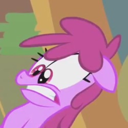 Size: 495x495 | Tagged: safe, screencap, berry punch, berryshine, earth pony, pony, call of the cutie, g4, season 1, cropped, female, mare, reaction image, solo