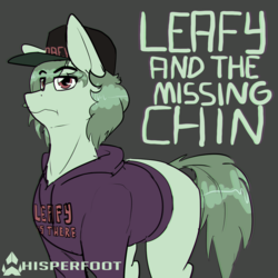 Size: 1280x1280 | Tagged: safe, artist:whisperfoot, oc, oc only, pony, clothes, hat, hoodie, leafyishere, ponified, simple background, solo, weak chin
