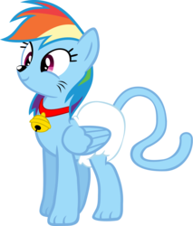 Size: 1789x2096 | Tagged: safe, artist:megarainbowdash2000, edit, rainbow dash, cat, g4, catified, collar, diaper, female, non-baby in diaper, poofy diaper, simple background, solo, species swap, transparent background