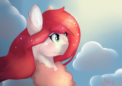 Size: 2400x1700 | Tagged: safe, artist:mah521, oc, oc only, pony, bust, cloud, female, mare, portrait, solo