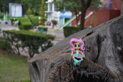 Size: 6000x4000 | Tagged: safe, artist:hero1290, fluttershy, equestria girls, g4, absurd resolution, doll, equestria girls minis, eqventures of the minis, irl, park, photo, toy, tree, wood