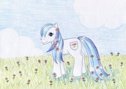 Size: 1024x723 | Tagged: safe, artist:normaleeinsane, denim blue, pony, g3, female, flower, solo, traditional art