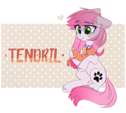 Size: 1280x1158 | Tagged: safe, artist:ten-dril, oc, oc only, oc:tendril, cat, earth pony, pony, bell, bell collar, collar, female, mare, sitting, solo