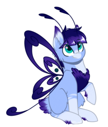 Size: 891x1045 | Tagged: safe, artist:cloud-drawings, oc, oc only, oc:jay-jay, butterfly pony, grottoling, original species, pony, antennae, butterfly wings, male, raised hoof, simple background, sitting, solo, transparent background
