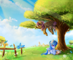 Size: 2200x1800 | Tagged: safe, artist:thetarkaana, oc, oc only, butterfly, pegasus, pony, book, duo, female, grass, mare, prone, reading, relaxing, scenery, sky, sleeping, smiling, sunlight, tree
