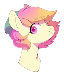 Size: 819x955 | Tagged: safe, artist:amphoera, oc, oc only, oc:taco horse, pony, beanbrows, beanie, bust, colored pupils, eyebrows, hat, heterochromia, simple background, solo, white background