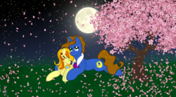 Size: 1854x1024 | Tagged: safe, artist:silversthreads, oc, oc only, oc:handsome crescent, oc:honey star, pegasus, pony, unicorn, cherry blossoms, cuddling, female, flower, flower blossom, goggles, honesome, male, mare, moon, night, oc couple, shipping, stallion, suit collar, tree