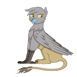 Size: 2000x2000 | Tagged: safe, artist:heniek, oc, oc only, griffon, high res, simple background, sitting, solo, transparent background