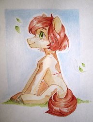 Size: 1620x2107 | Tagged: safe, artist:aphphphphp, oc, oc only, pony, scar, sitting, solo, traditional art