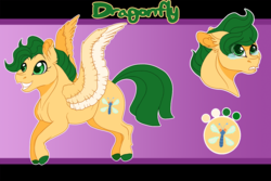 Size: 1200x800 | Tagged: safe, artist:bijutsuyoukai, oc, oc only, oc:dragonfly, pegasus, pony, female, filly, next generation, offspring, parent:snails, parent:zippoorwhill, reference sheet, solo