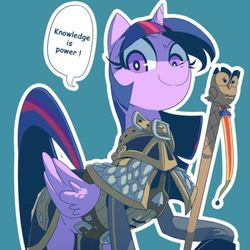 Size: 645x645 | Tagged: safe, artist:cakewasgood, edit, owlowiscious, twilight sparkle, alicorn, owl, pony, g4, armor, cropped, crossover, female, khadgar, simple background, solo, staff, twilight sparkle (alicorn), warcraft, world of warcraft