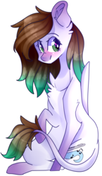 Size: 1146x1970 | Tagged: safe, artist:erinartista, oc, oc only, oc:melody, pegasus, pony, female, leonine tail, mare, simple background, sitting, solo, transparent background