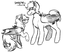 Size: 1158x953 | Tagged: safe, artist:monnarcha, dumbbell, rainbow dash, pony, g4, angry, cross-popping veins, hoers, monochrome, size difference, sketch, smoldash